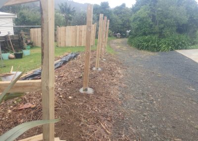 Fences and gates with pressure treated pine