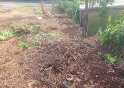 Fences and gates with pressure treated pine