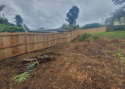 Fences and gates with pressure treated pine