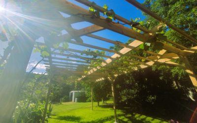 colonial wooden pergola